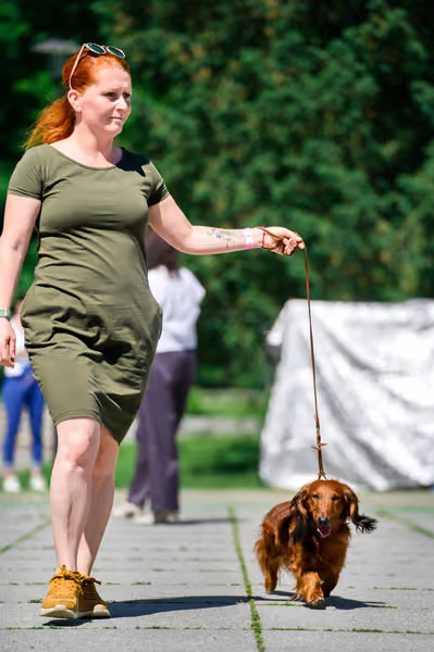 Krajská výstava psů Florinka — Florinka - Sobota – 6. června 2026