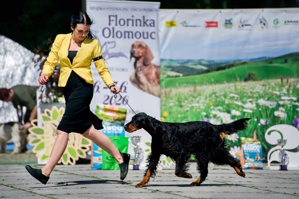 Krajská výstava psů Florinka — Florinka - Sobota – 6. června 2026