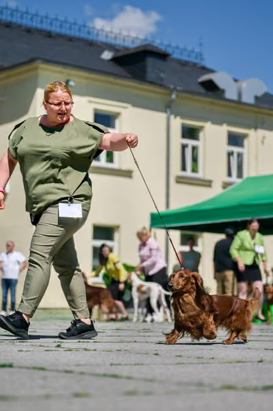 Krajská výstava psů Florinka — Florinka - Sobota – 6. června 2026