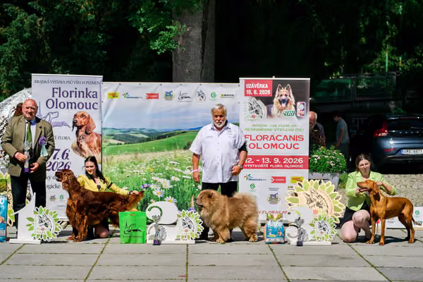 Krajská výstava psů Florinka — Florinka - Sobota – 6. června 2026