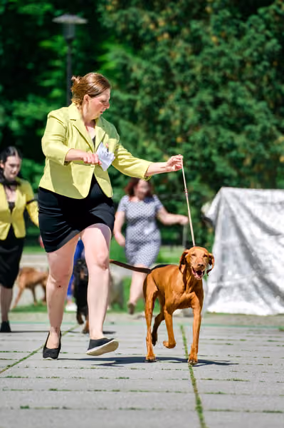 Krajská výstava psů Florinka — Florinka - Sobota – 6. června 2026