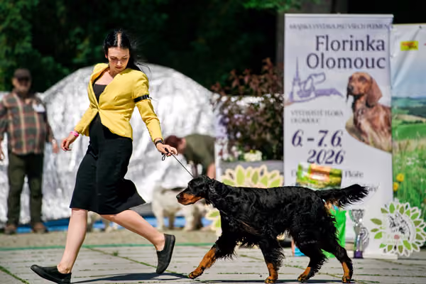Krajská výstava psů Florinka — Florinka - Sobota – 6. června 2026