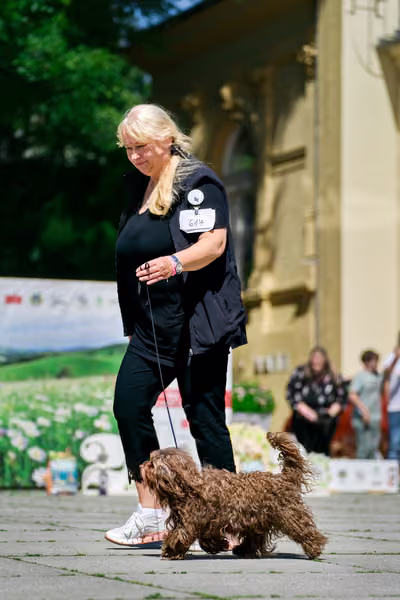 Krajská výstava psů Florinka — Florinka - Sobota – 6. června 2026