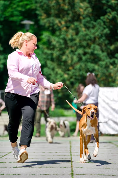 Krajská výstava psů Florinka — Florinka - Sobota – 6. června 2026