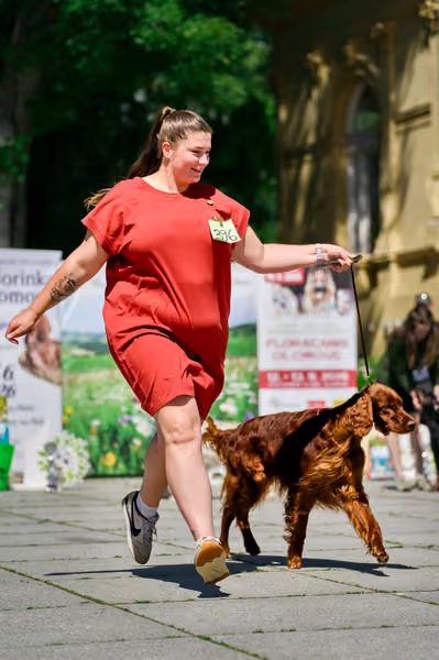 Krajská výstava psů Florinka — Florinka - Sobota – 6. června 2026