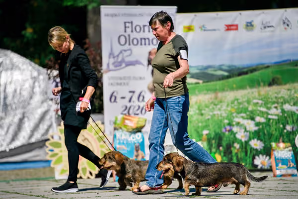 Florinka - Sobota — DSC01264