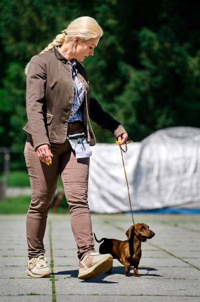 Krajská výstava psů Florinka — Florinka - Sobota – 6. června 2026