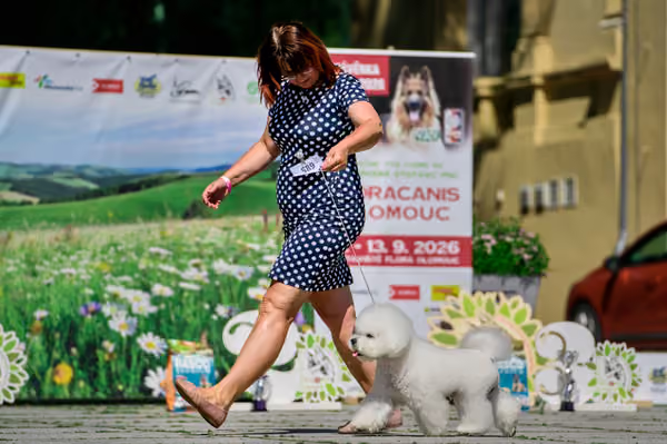 Krajská výstava psů Florinka — Florinka - Sobota – 6. června 2026