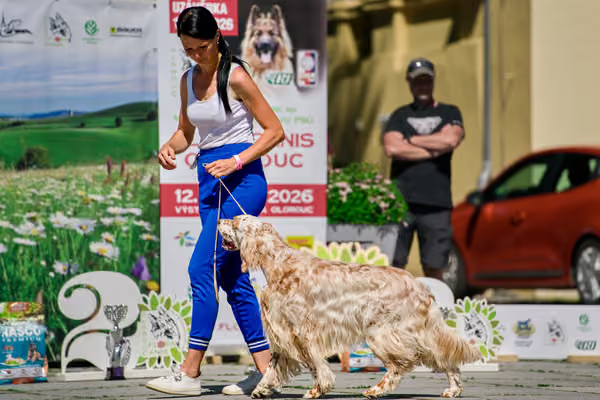 Krajská výstava psů Florinka — Florinka - Sobota – 6. června 2026
