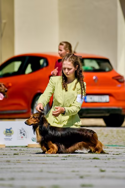 Krajská výstava psů Florinka — Florinka - Sobota – 6. června 2026