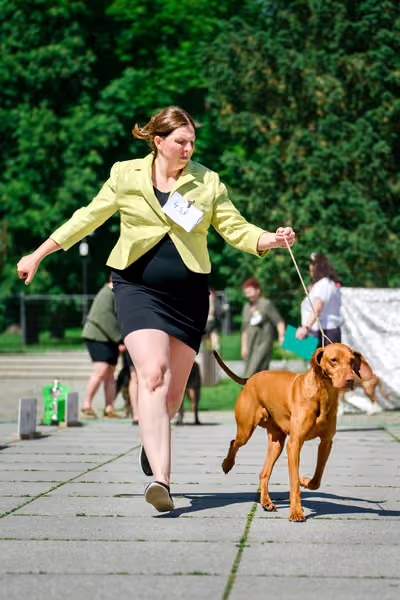 Krajská výstava psů Florinka — Florinka - Sobota – 6. června 2026