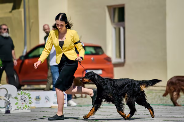 Krajská výstava psů Florinka — Florinka - Sobota – 6. června 2026