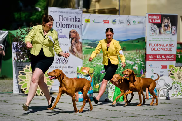 Florinka - Sobota — DSC01248