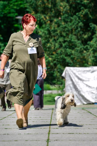 Krajská výstava psů Florinka — Florinka - Sobota – 6. června 2026