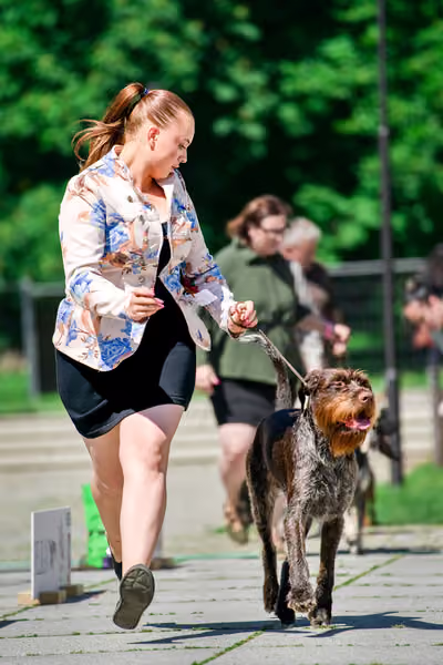 Krajská výstava psů Florinka — Florinka - Sobota – 6. června 2026