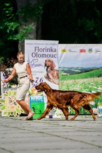 Krajská výstava psů Florinka — Florinka - Sobota – 6. června 2026