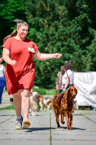 Krajská výstava psů Florinka — Florinka - Sobota – 6. června 2026