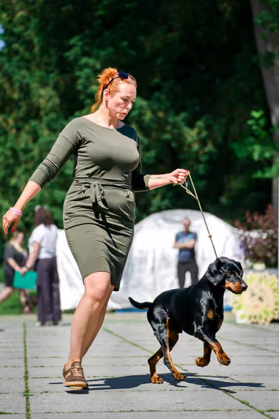 Krajská výstava psů Florinka — Florinka - Sobota – 6. června 2026