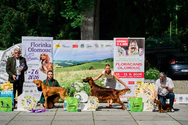 Krajská výstava psů Florinka — Florinka - Sobota – 6. června 2026