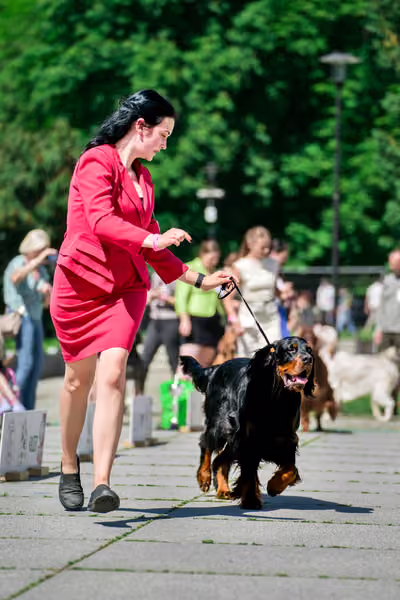 Krajská výstava psů Florinka — Florinka - Sobota – 6. června 2026