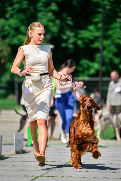 Krajská výstava psů Florinka — Florinka - Sobota – 6. června 2026
