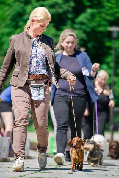 Krajská výstava psů Florinka — Florinka - Sobota – 6. června 2026