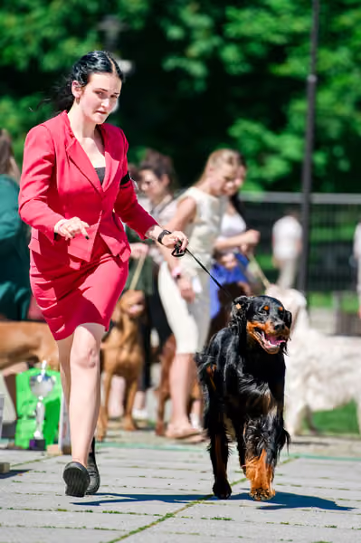 Krajská výstava psů Florinka — Florinka - Sobota – 6. června 2026