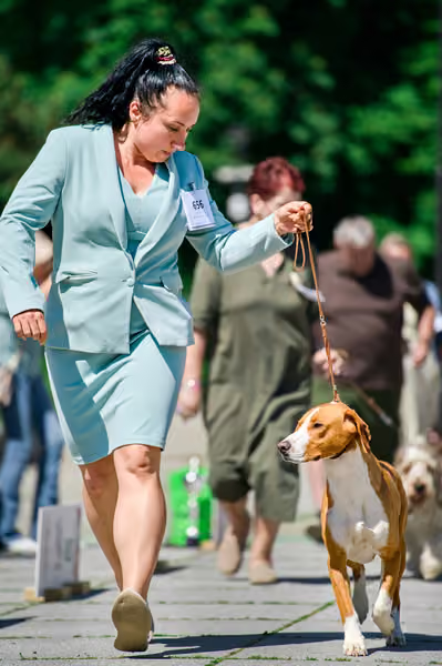 Krajská výstava psů Florinka — Florinka - Sobota – 6. června 2026