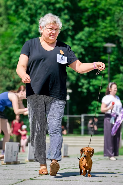 Krajská výstava psů Florinka — Florinka - Sobota – 6. června 2026