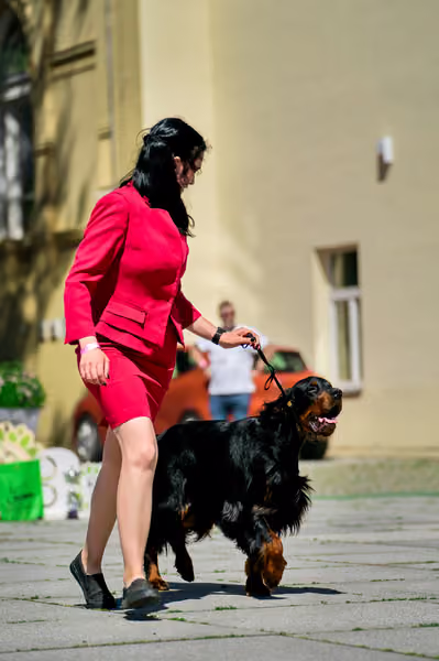 Krajská výstava psů Florinka — Florinka - Sobota – 6. června 2026