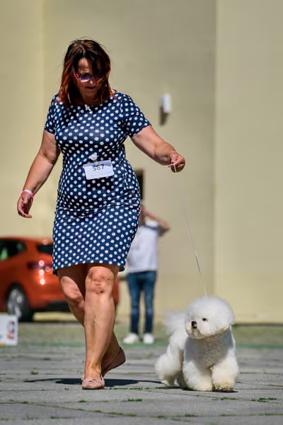 Krajská výstava psů Florinka — Florinka - Sobota – 6. června 2026