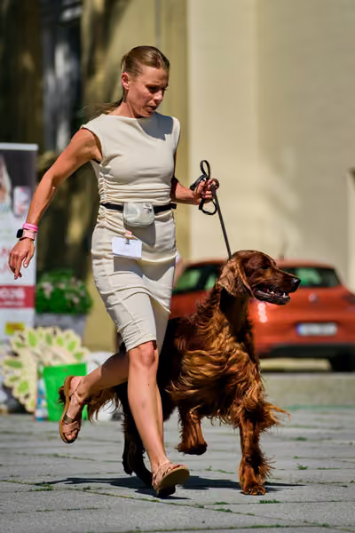 Krajská výstava psů Florinka — Florinka - Sobota – 6. června 2026