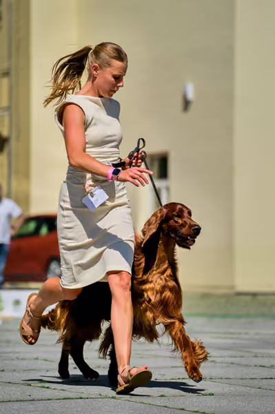 Krajská výstava psů Florinka — Florinka - Sobota – 6. června 2026