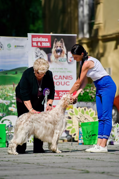 Krajská výstava psů Florinka — Florinka - Sobota – 6. června 2026