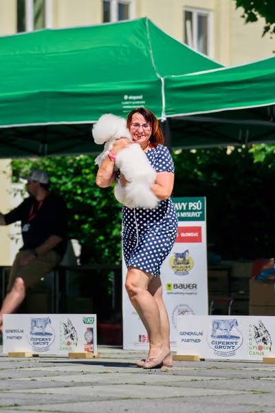 Krajská výstava psů Florinka — Florinka - Sobota – 6. června 2026