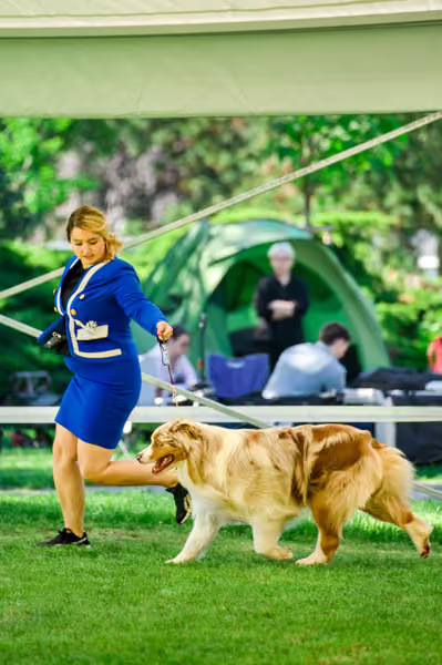 Krajská výstava psů Florinka — Florinka - Neděle – 7. června 2026