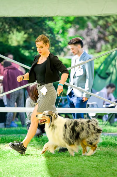 Krajská výstava psů Florinka — Florinka - Neděle – 7. června 2026