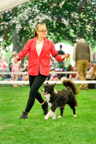 Krajská výstava psů Florinka — Florinka - Neděle – 7. června 2026