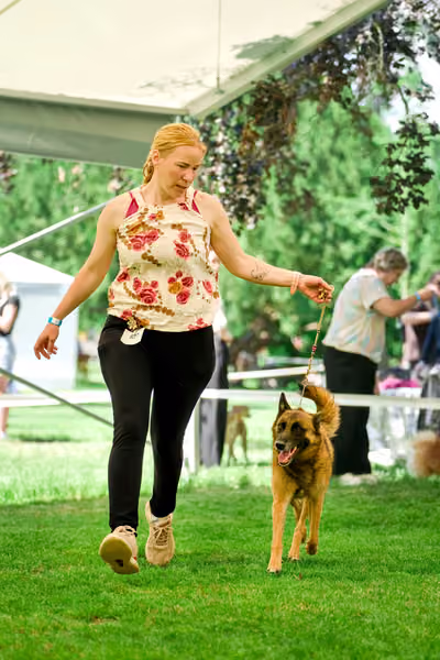 Krajská výstava psů Florinka — Florinka - Neděle – 7. června 2026