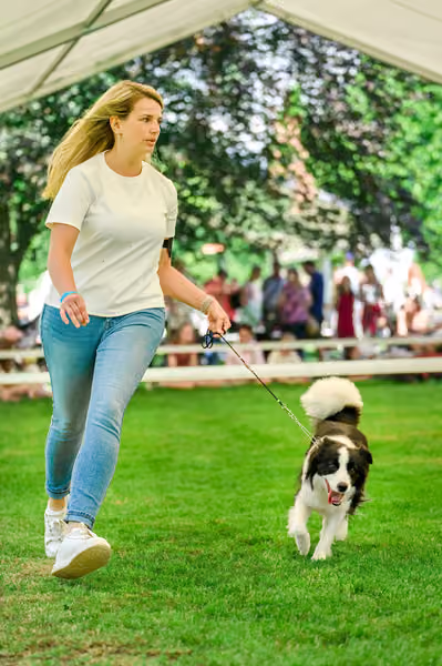 Krajská výstava psů Florinka — Florinka - Neděle – 7. června 2026