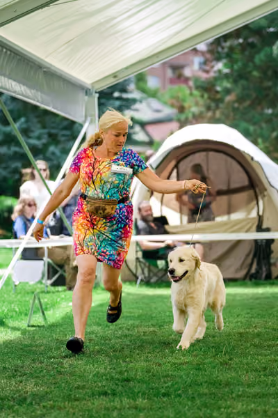 Krajská výstava psů Florinka — Florinka - Neděle – 7. června 2026
