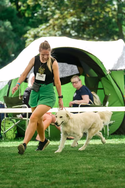 Krajská výstava psů Florinka — Florinka - Neděle – 7. června 2026
