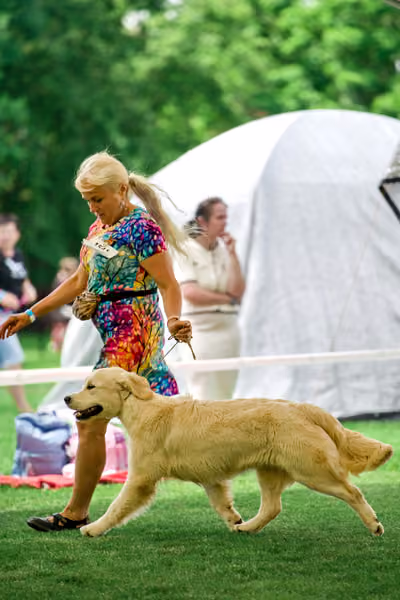 Krajská výstava psů Florinka — Florinka - Neděle – 7. června 2026