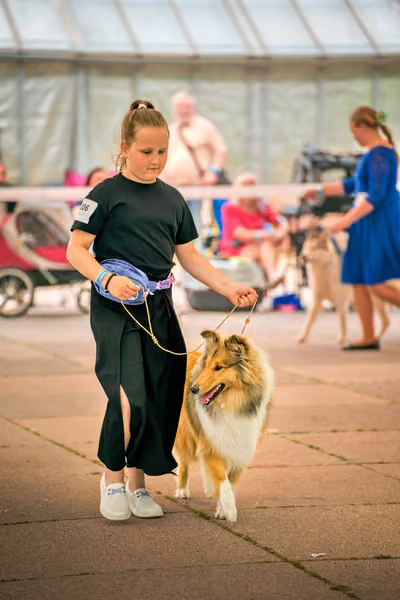 Krajská výstava psů Florinka — Florinka - Neděle – 7. června 2026