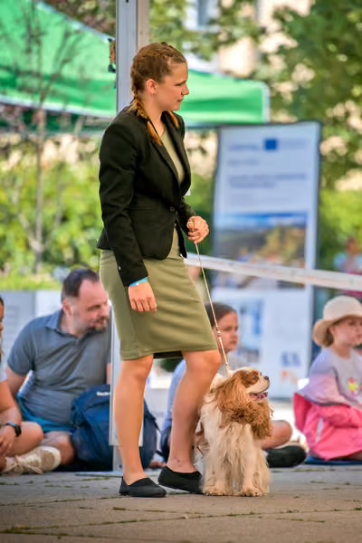 Krajská výstava psů Florinka — Florinka - Neděle – 7. června 2026