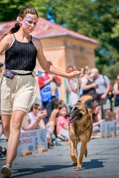 Krajská výstava psů Florinka — Florinka - Neděle – 7. června 2026
