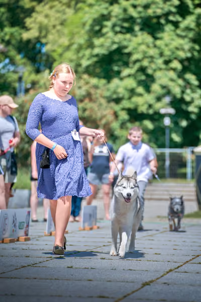 Krajská výstava psů Florinka — Florinka - Neděle – 7. června 2026