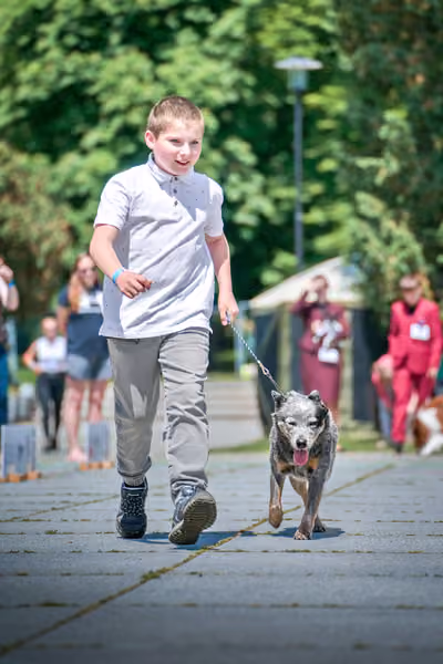 Krajská výstava psů Florinka — Florinka - Neděle – 7. června 2026