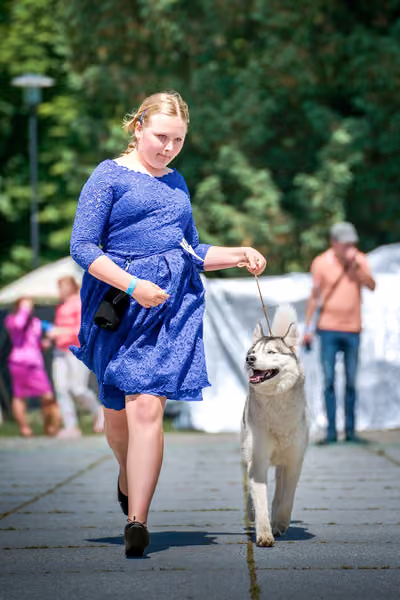 Krajská výstava psů Florinka — Florinka - Neděle – 7. června 2026