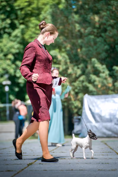 Krajská výstava psů Florinka — Florinka - Neděle – 7. června 2026